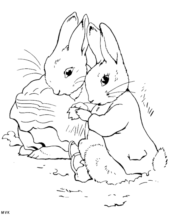 peter rabbit001